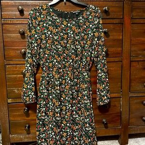 JCrew Dress
